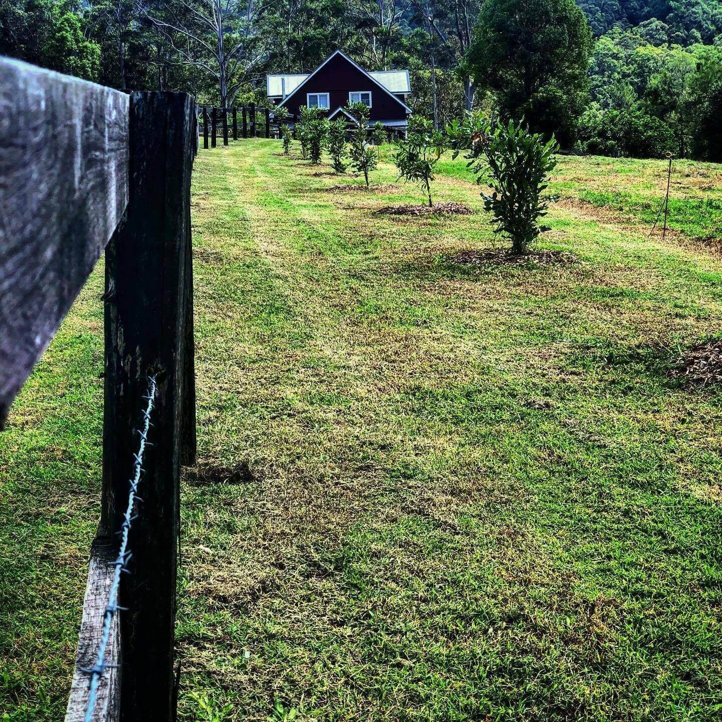 Lost Ranches Hinterland Love Central Coast